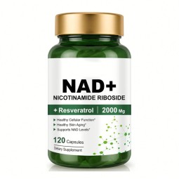 Besica OEM NAD+ Cellular Renewal Supplement Antioxidant Nicotinamide Riboside Adult Daily Supplement Men Women