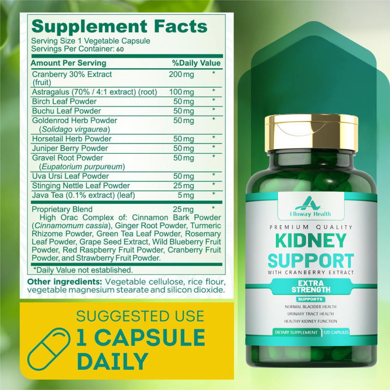 OEM/ODM Cranberry Extract Capsules | Kidney Support & Detox | Natural UTI Prevention & Bladder Health