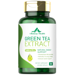 OEM/ODM 1000mg Green Tea Capsules Cognitive Support Brain Health Supplement Standardized Extract 60 Caps Herbal Supplement
