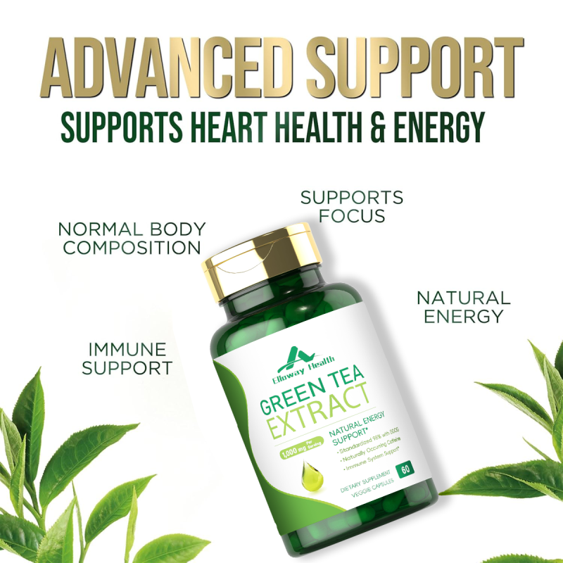 OEM/ODM 1000mg Green Tea Capsules Cognitive Support Brain Health Supplement Standardized Extract 60 Caps Herbal Supplement