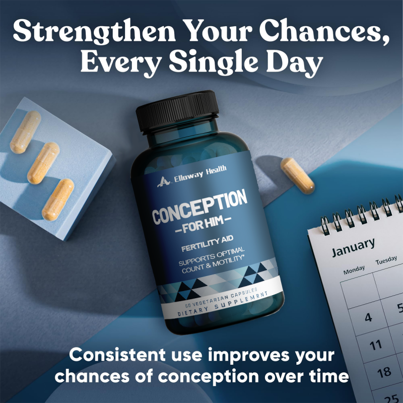 OEM/ODM Male Fertility Herbal Capsules | Preconception Support | Dietary Support for Sperm Health