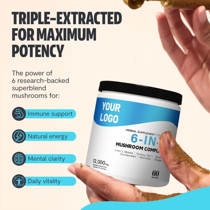 OEM/ODM Six-in-One Mushroom Blend | Immune Support & Vitality | Herbal Power Supplement