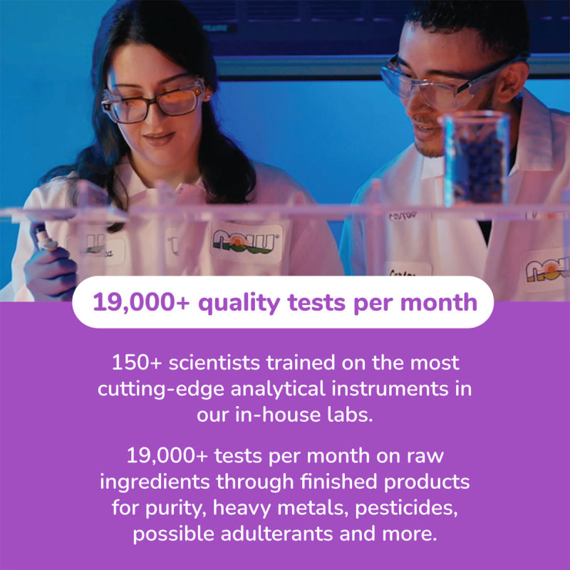 OEM/ODM Potent Acai Supplement | Herbal Dietary Boost | Natural Health & Vitality Support