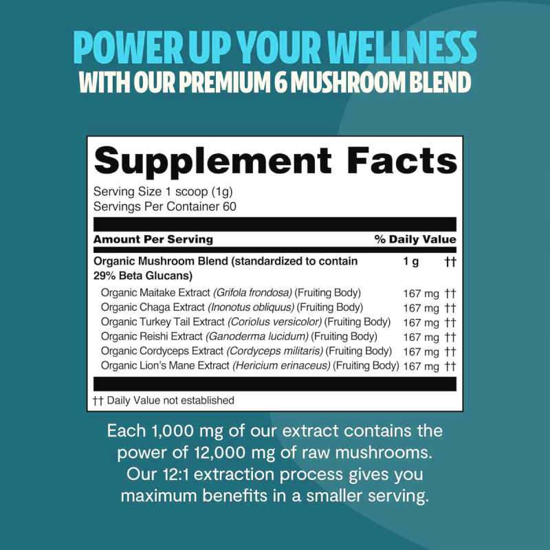 OEM/ODM Six-in-One Mushroom Blend | Immune Support & Vitality | Herbal Power Supplement