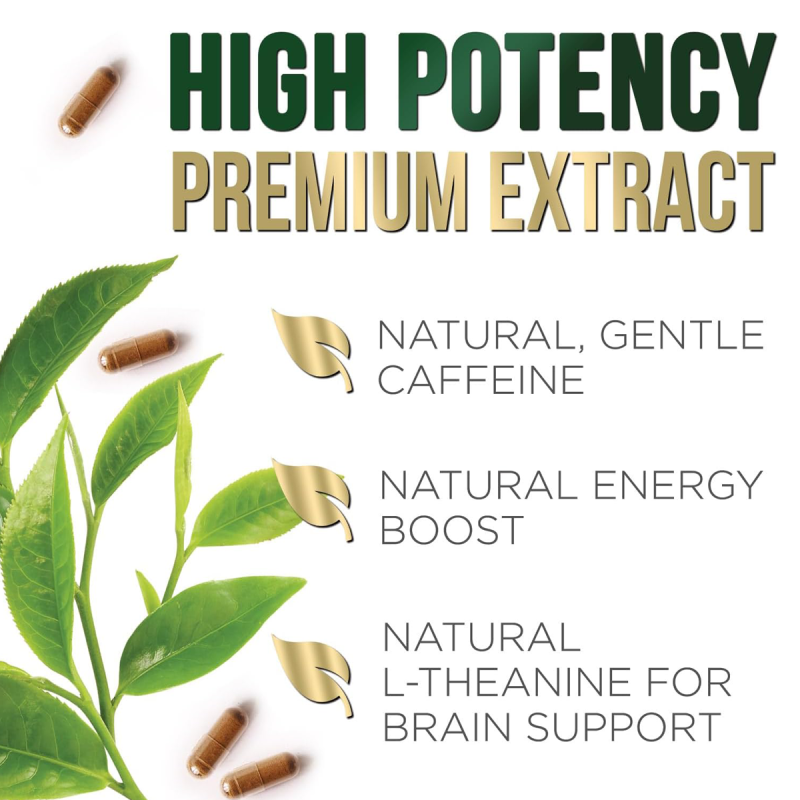 OEM/ODM 1000mg Green Tea Capsules Cognitive Support Brain Health Supplement Standardized Extract 60 Caps Herbal Supplement