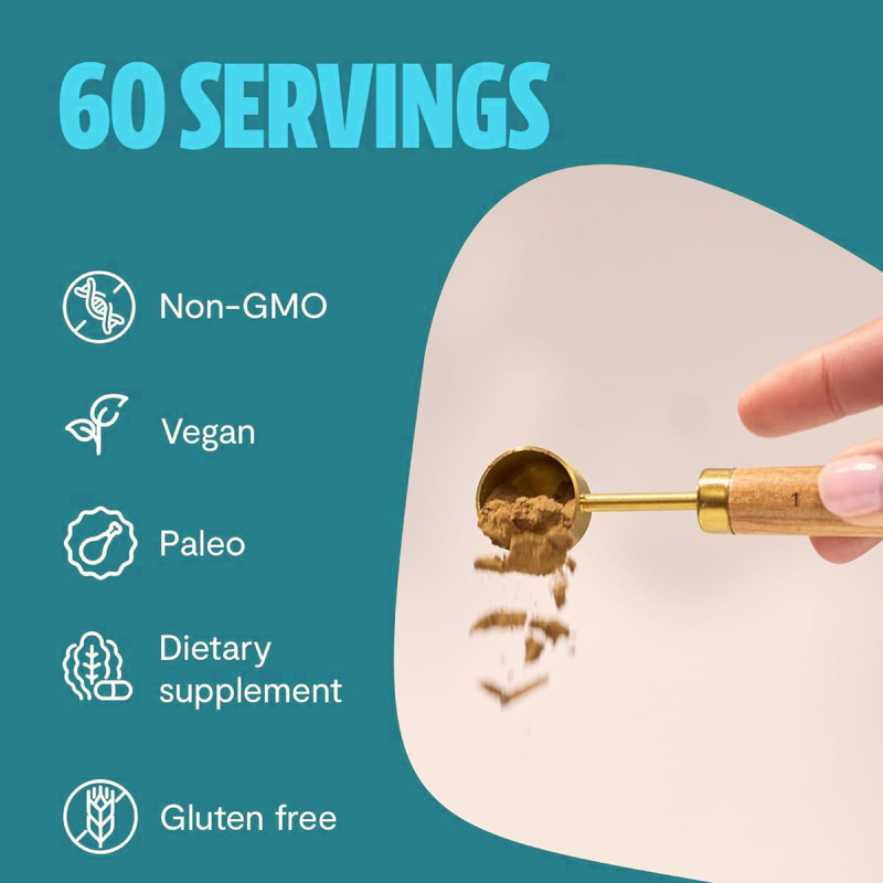 OEM/ODM Six-in-One Mushroom Blend | Immune Support & Vitality | Herbal Power Supplement