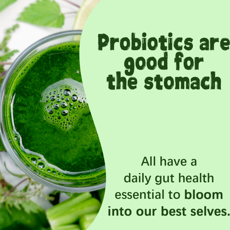 Apple Flavor Essential Fruit Probiotic Powder Dietary Supplement Gut Health & Natural Vitality Spirulina Base Bar