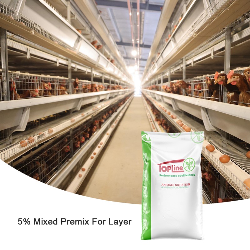 Pig Reproduction Enhancer Supplier - Rumen Immunity & Intestinal Health