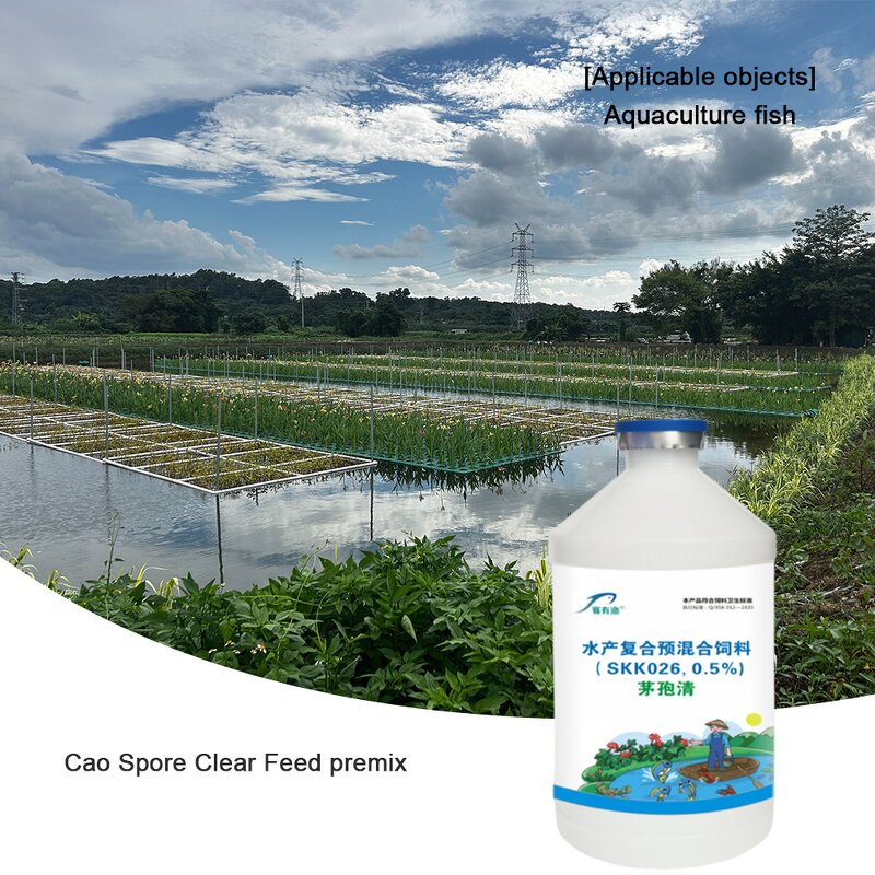 Cattle Sheep Feed Additives Factory - Vitamin A & Amino Acid Booster