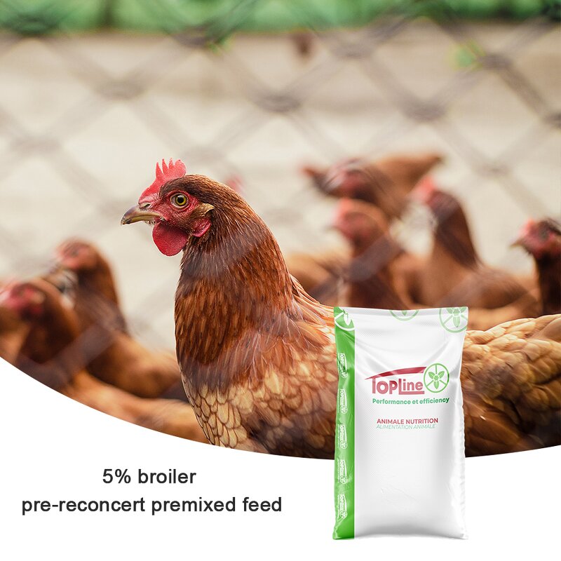Poultry Feed Additives Manufacturer - Vitamin AD Enzyme for Layers