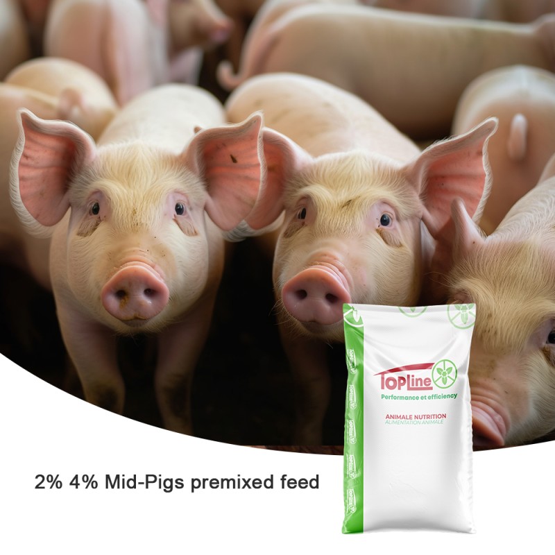 Pig Fattening Supplement Factory - Vitamin E Intestinal Health