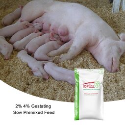 Pig Growth Supplement Factory - Vitamin E Multivitamins Soluble