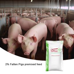 Pig Fattening Additive Manufacturer - Intestinal Health Booster