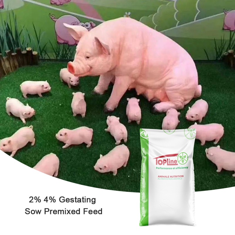 Pig Growth Feed Additive Manufacturer - Vitamin E Enzyme Soluble