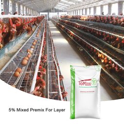 Pig Reproduction Enhancer Supplier - Rumen Immunity & Intestinal Health