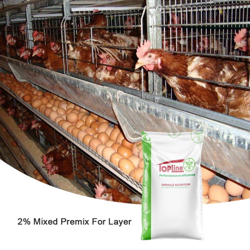Pig Reproduction Enhancer Supplier - Rumen Immunity & Intestinal Health