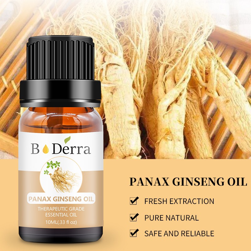 Panax Ginseng Oil Supplier - with Ginger for Hair Care