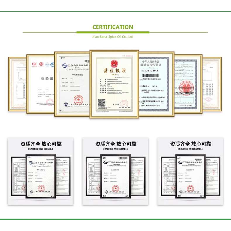 Onion Essential Oil Manufacturer - Organic Moisturising Bulk