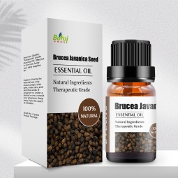 Brucea Javanica Seed Oil Factory - Organic Pure Natural