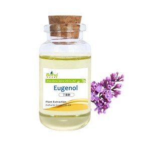 Eugenol Essential Oil Factory - Pure Clove Oil Bulk Wholesale