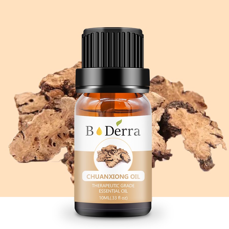 Chuanxiong Essential Oil Manufacturer - Pure Resin Material