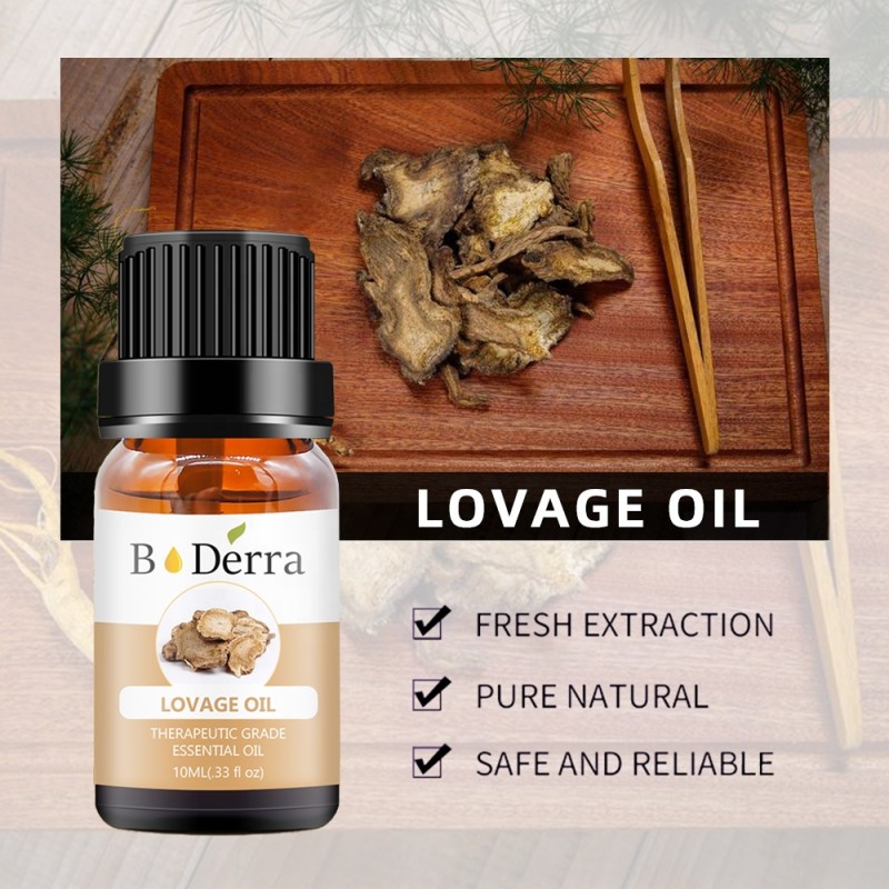 Lovage Oil Manufacturer - Cosmetic Grade for Skin