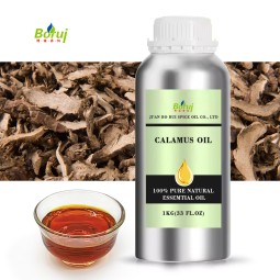Calamus Essential Oil Manufacturer - for Aroma Diffuser