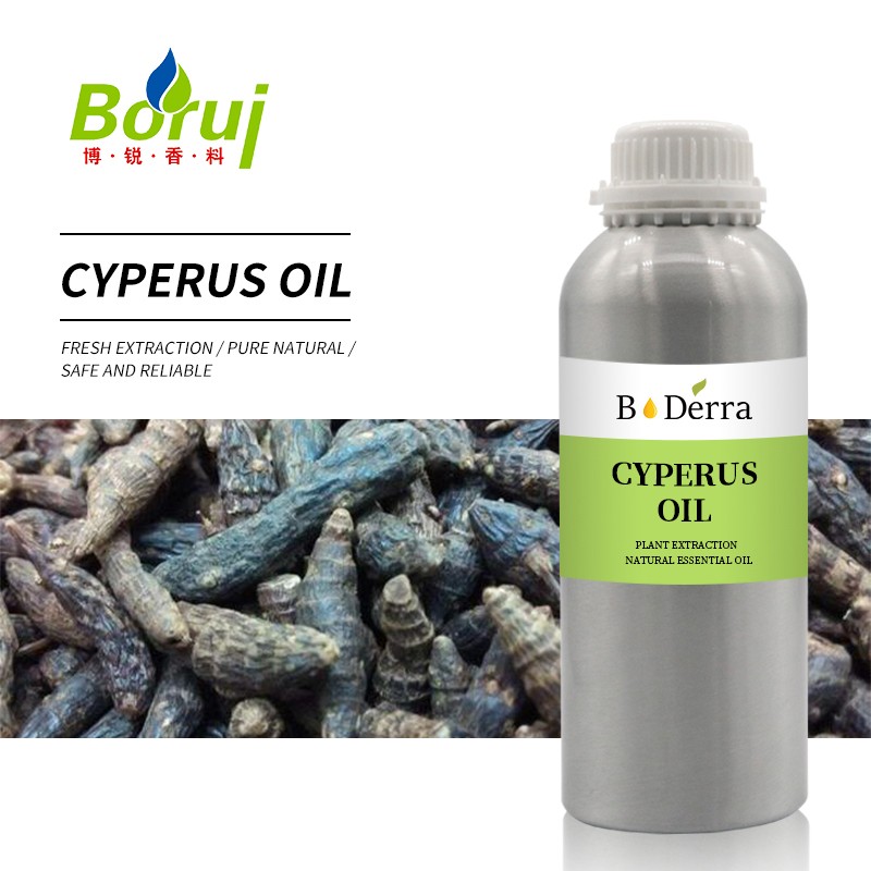 Cyperus Rotundus Extract Factory - Organic 100% Pure