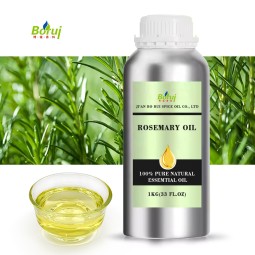 Rosemary Essential Oil Manufacturer - Organic for Hair Care