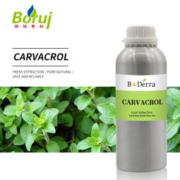 Oregano Oil Manufacturer - Wild Carvacrol Liquid