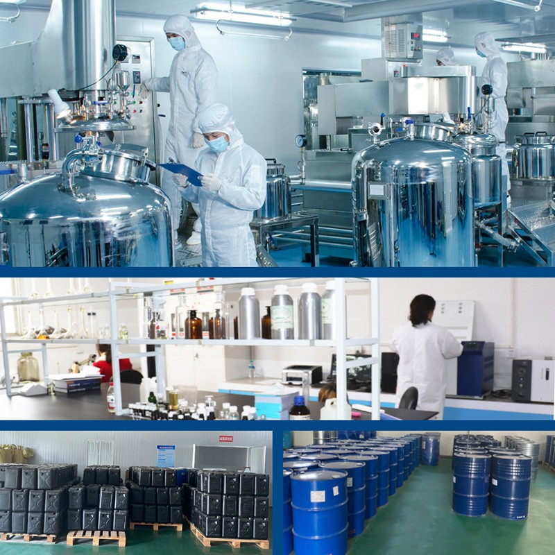 Rosemary Hydrosol Factory - Pure Natural Bulk Price