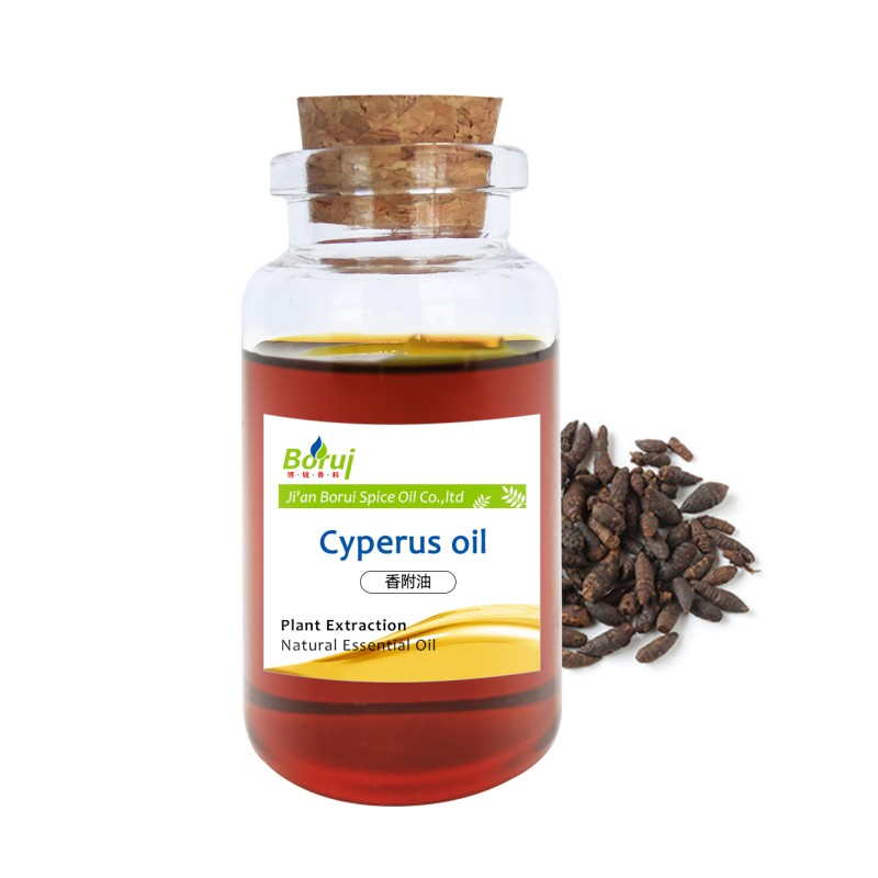 Cyperus Rotundus Oil Manufacturer - Pure Natural 3 Year Shelf