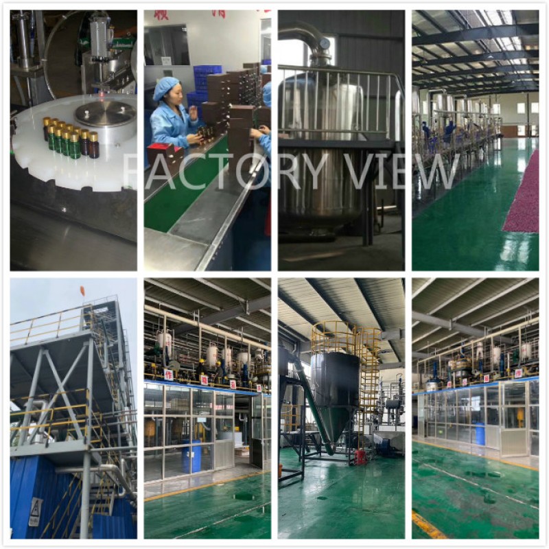 White Orchid Oil Supplier - Organic Pure Natural OEM/ODM