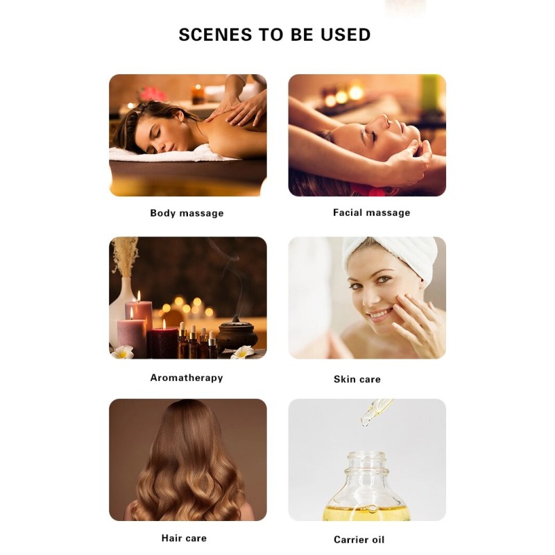 Panax Ginseng Oil Supplier - with Ginger for Hair Care