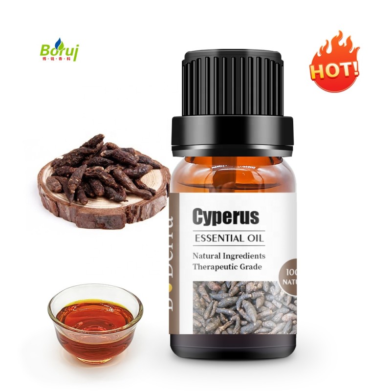 Cyperus Rotundus Oil Factory - Organic Custom Extract