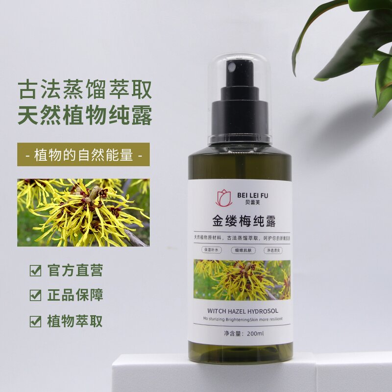 Witch Hazel Hydrolat Supplier - Pure Natural Bulk Price