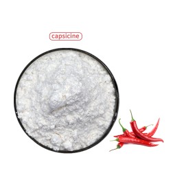 Synthetic Capsaicin Supplier - High Quality Bulk Price