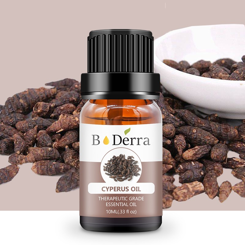 Cyperus Rotundus Oil Manufacturer - Pure Natural 3 Year Shelf