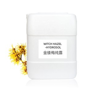 Witch Hazel Hydrolat Supplier - Pure Natural Bulk Price