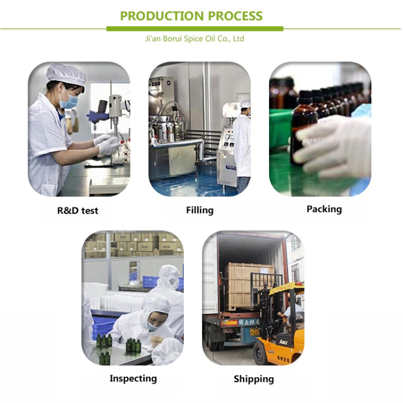 Panax Ginseng Oil Supplier - with Ginger for Hair Care