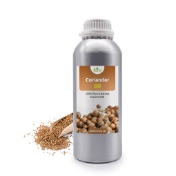 Coriander Essential Oil Manufacturer - Organic for Aromatherapy