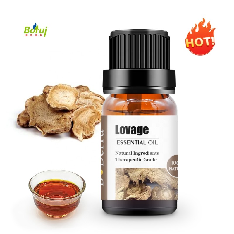 Lovage Oil Manufacturer - Cosmetic Grade for Skin