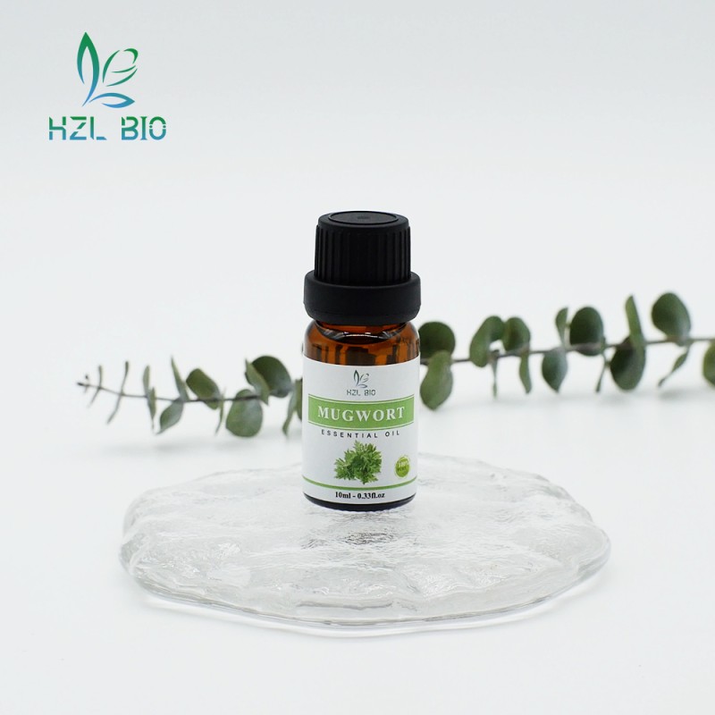 Mugwort Essential Oil Extract Manufacturer - Pure Organic New Arrival