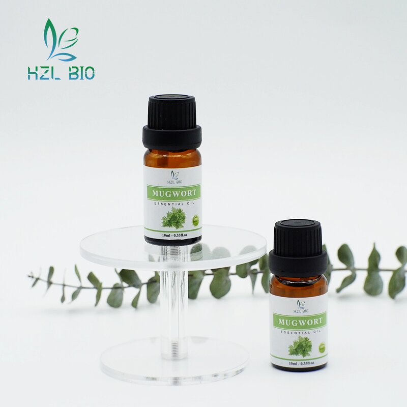 Mugwort Essential Oil Supplier - Organic Oil Green Healthy
