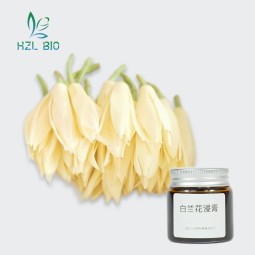 Michelia Alba Extractum Manufacturer - Food Grade Healthcare Powder