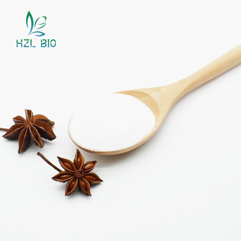 Star Anise Extract Manufacturer - Organic Fruit Extract Powder