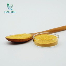 Turmeric Extract Factory - Curcumin Powder Green Natural