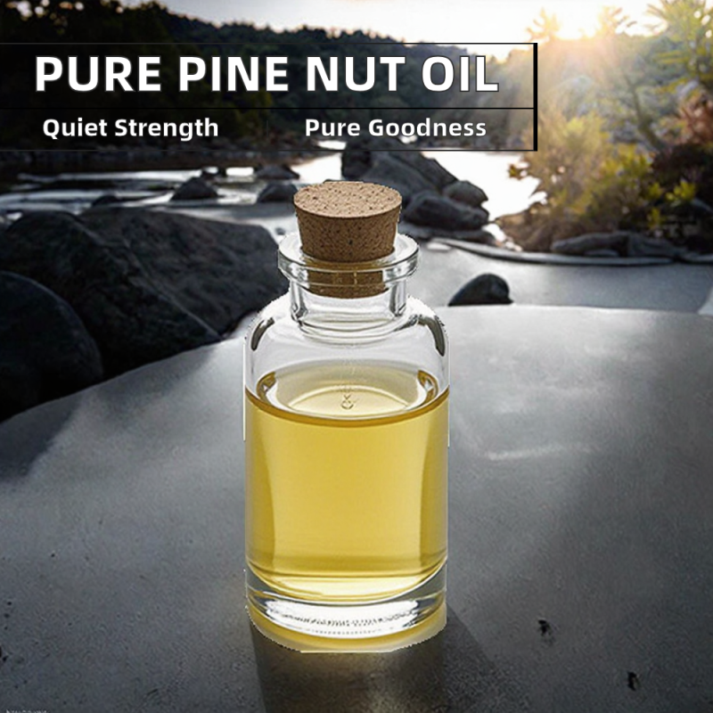 Pine Nut Oil Factory - 100% Pure Natural Carrier Oil Competitively