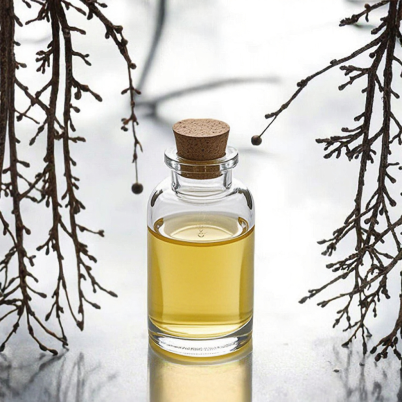 Pine Nut Oil Factory - 100% Pure Natural Carrier Oil Competitively