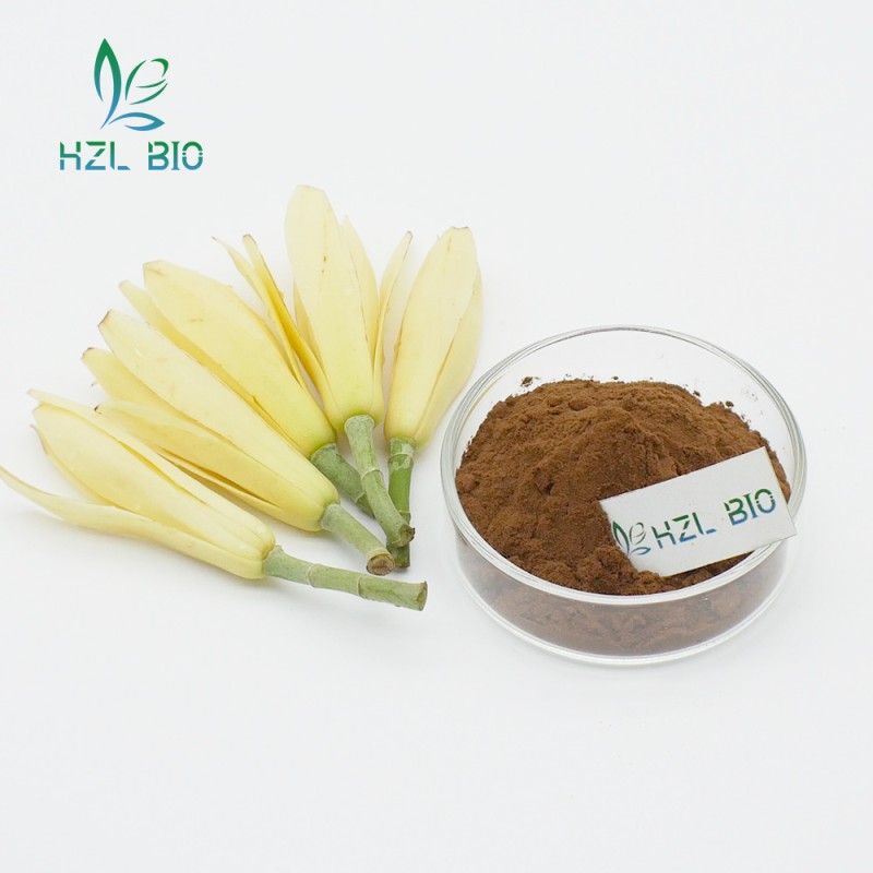 Magnolia Alba Extract Manufacturer - Custom Phenylethanol Glycosides